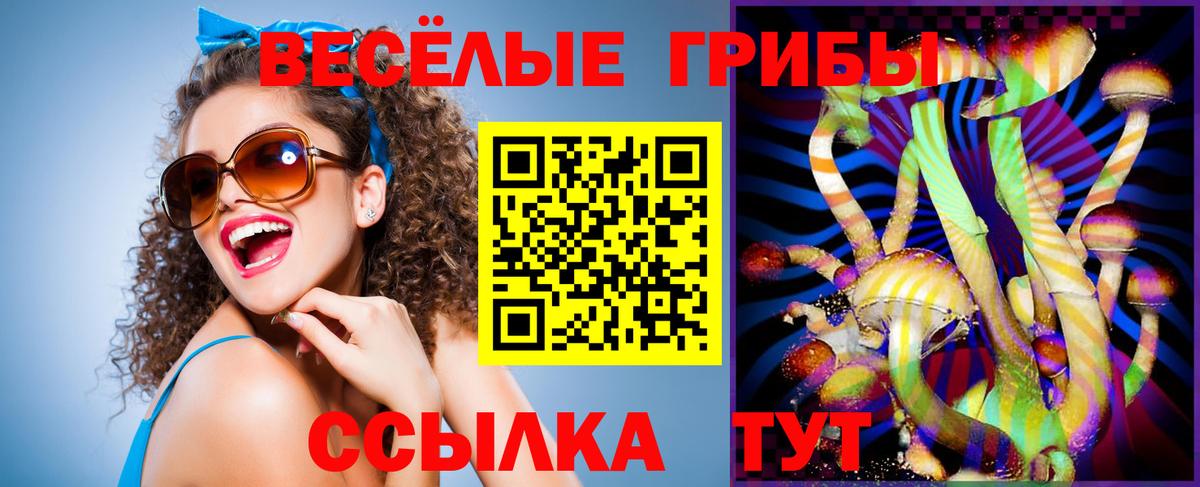 Галлюциногенные грибы MAGIC MUSHROOMS  Галлюциногенные грибы мухоморы  Вход с VPN  Сальск 